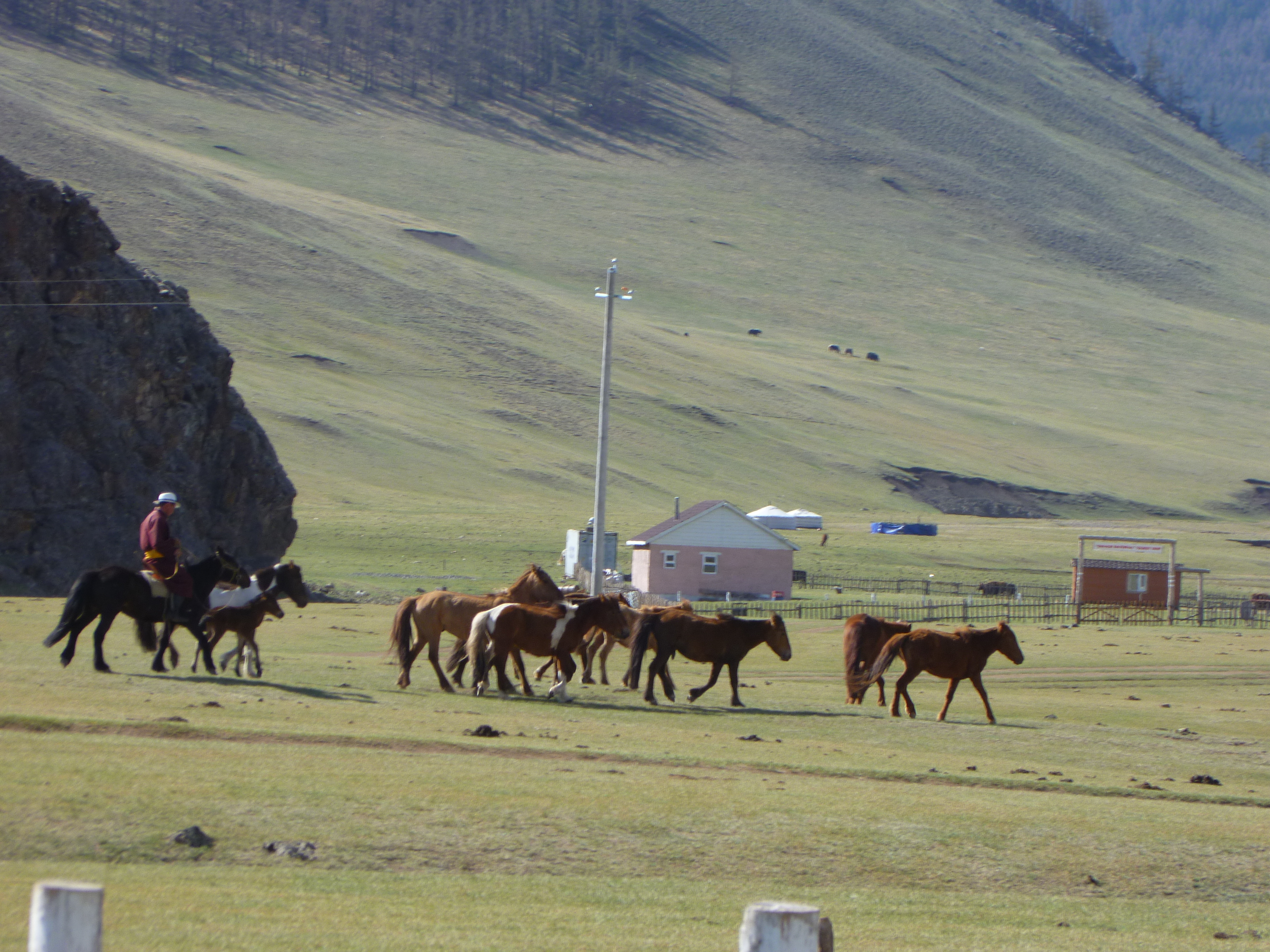 Mongolia_Orkhon-Cowboys&horses